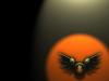 Orange 043